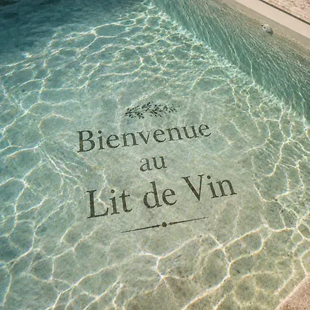 Au Lit De Vin 아파트 Saint-Sulpice-de-Faleyrens